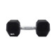 Liga Dumbbell-5kg (Αλτήρας) Ligasport